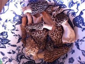 Blonde Morels used in this dish