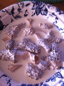 Morels swimming in cream!